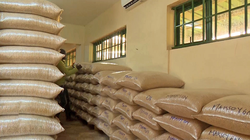 ضبط 3.5 طن أعلاف مجهولة المصدر خلال حملات تموينية بالبحيرة