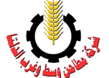 أرباح مطاحن وسط وغرب الدلتا ترتفع إلى 424.8 مليون جنيه بنهاية العام المالي 2024-2025