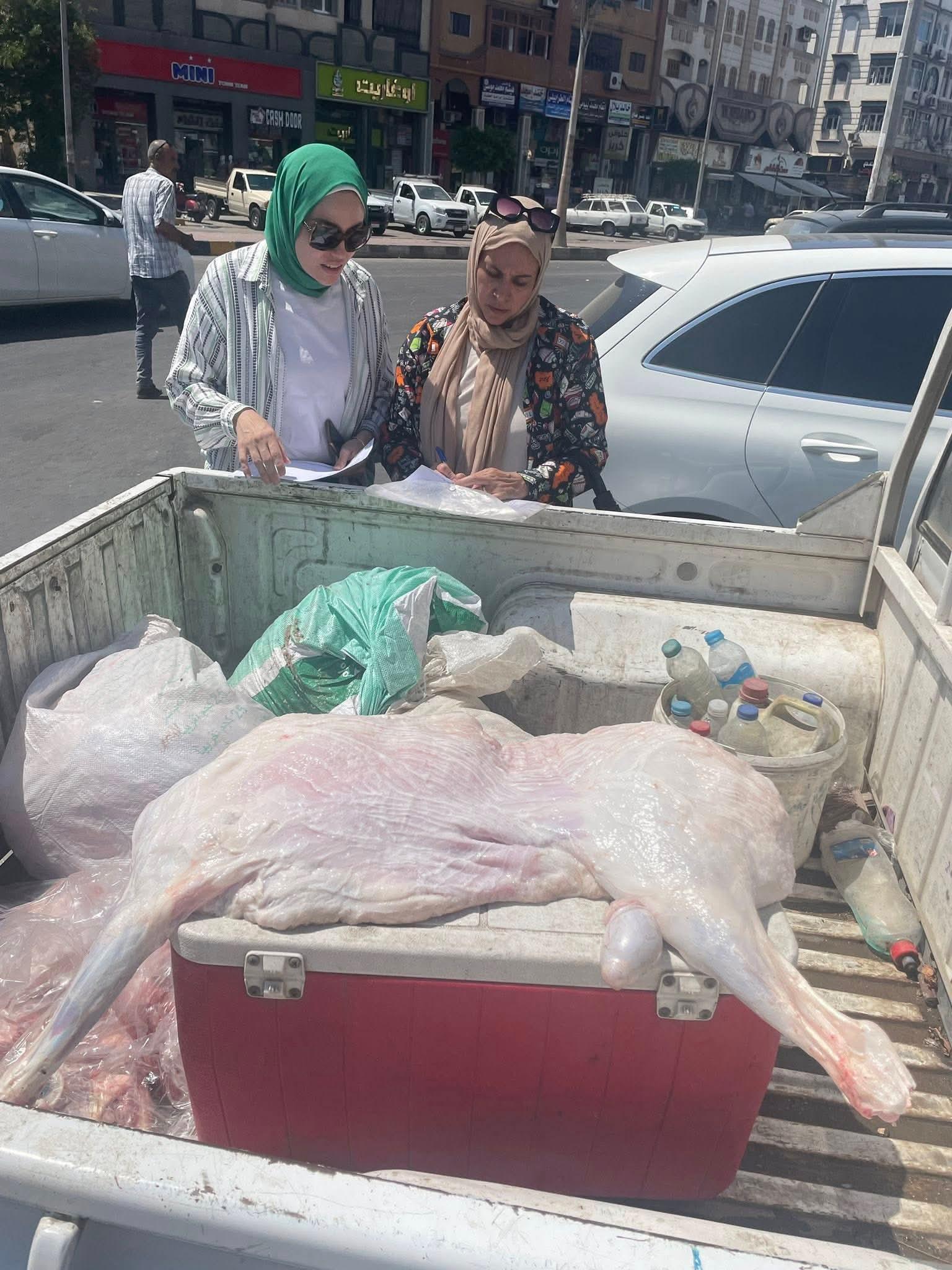 تحصين 22877 رأس ماشية ضد الحمى القلاعية في دمياط