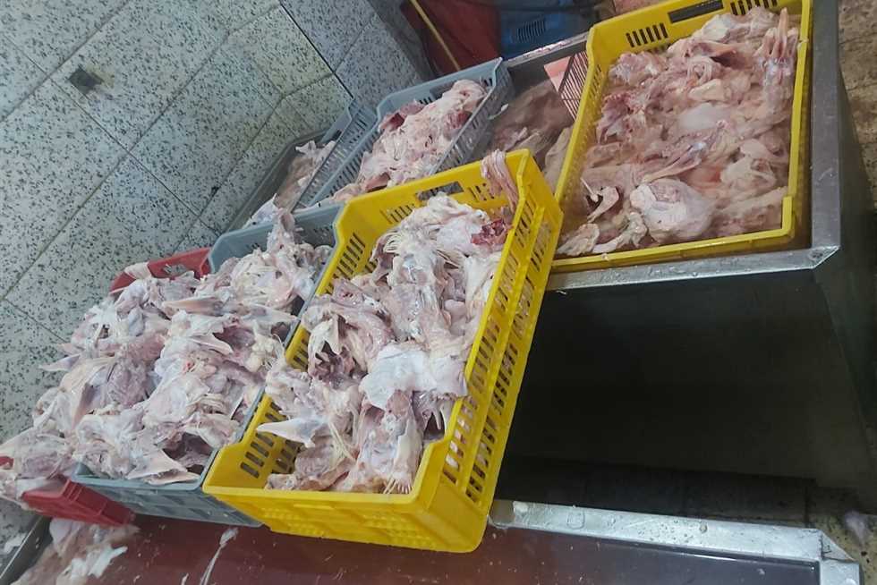 بيطري الشرقية: ضبط 4 أطنان من الدواجن والأسماك منتهية الصلاحية