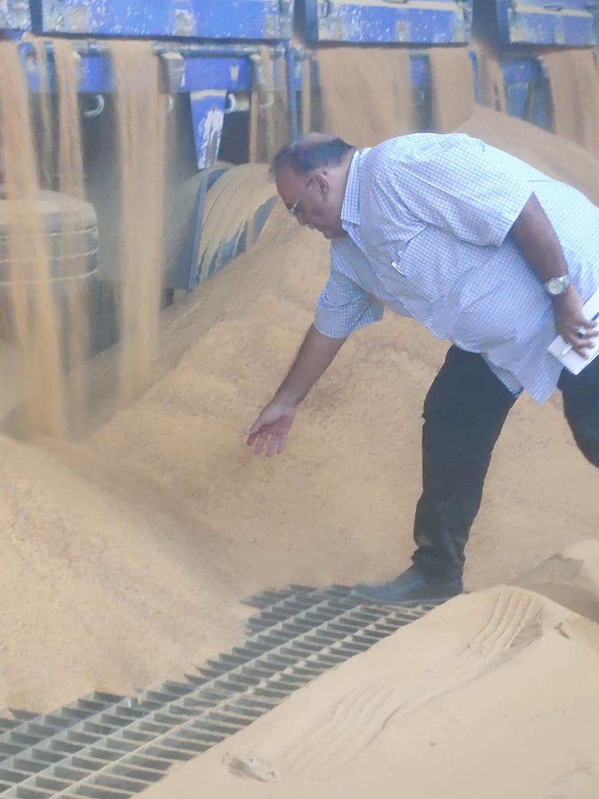 بتعليمات من وزير الزراعة.. 35 لجنة على مستوى الجمهورية للتفتيش على مخازن الأعلاف وخاماتها: إجراءات صارمة ضد المخالفين