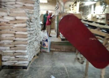 بتعليمات من وزير الزراعة.. 35 لجنة على مستوى الجمهورية للتفتيش على مخازن الأعلاف وخاماتها: إجراءات صارمة ضد المخالفين