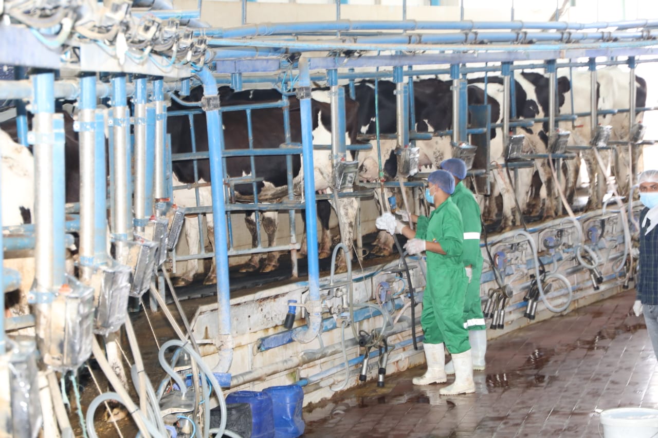 وزير الزراعة ومحافظ الشرقية يتفقدان مشروع الصالحية الزراعي المتكامل