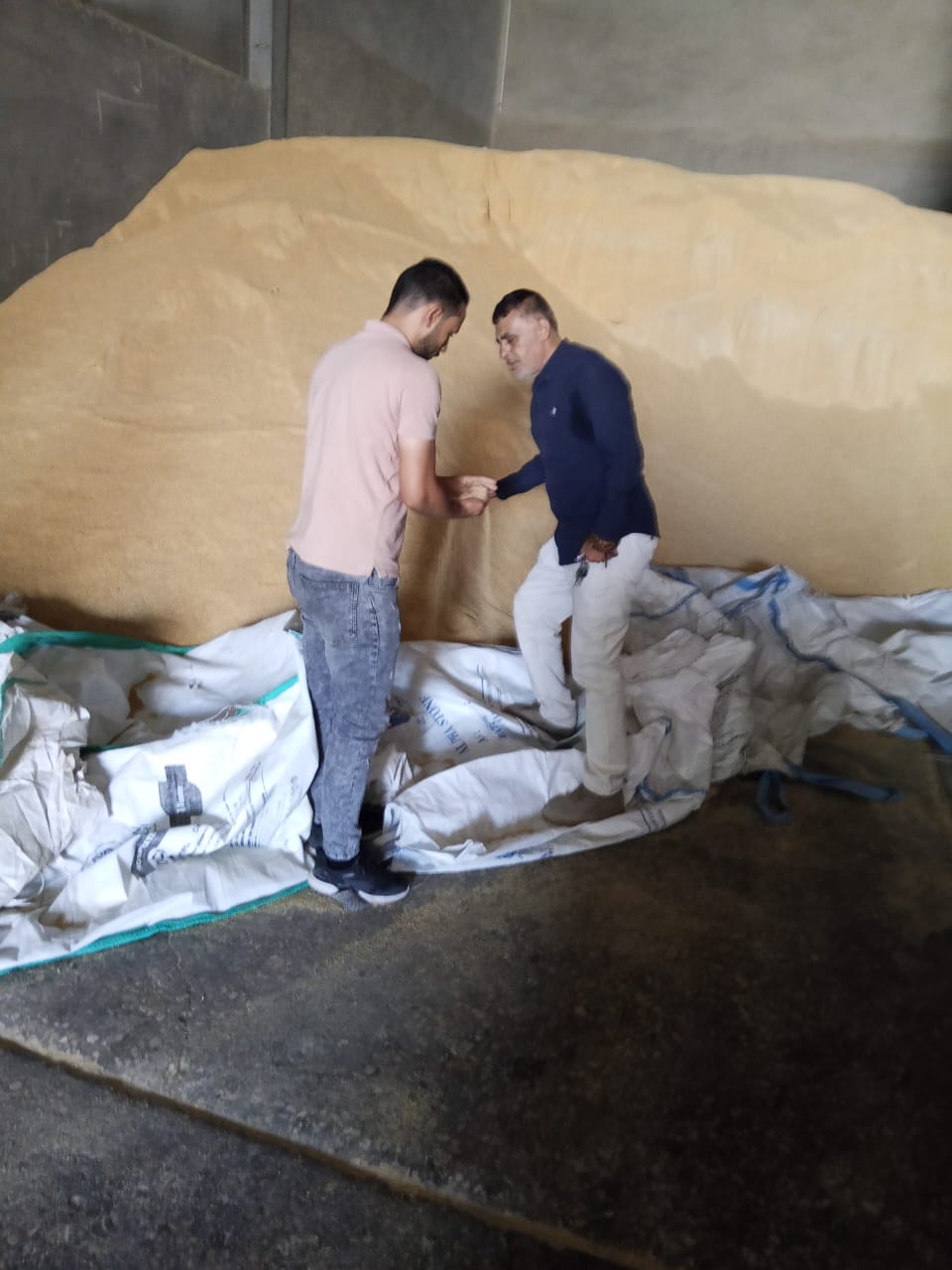 بتعليمات من وزير الزراعة.. 35 لجنة على مستوى الجمهورية للتفتيش على مخازن الأعلاف وخاماتها: إجراءات صارمة ضد المخالفين