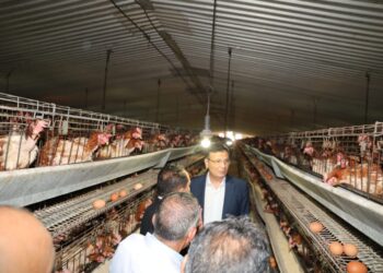 وزير الزراعة ومحافظ الشرقية يتفقدان مشروع الصالحية الزراعي المتكامل