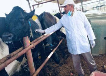 "الزراعة" تواصل جهود الكشف المبكر والسيطرة على الأمراض المشتركة خلال يوليو