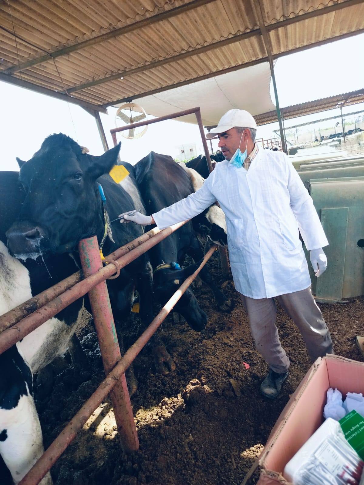 "الزراعة" تواصل جهود الكشف المبكر والسيطرة على الأمراض المشتركة خلال يوليو