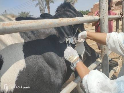 "الزراعة" تواصل جهود الكشف المبكر والسيطرة على الأمراض المشتركة خلال يوليو