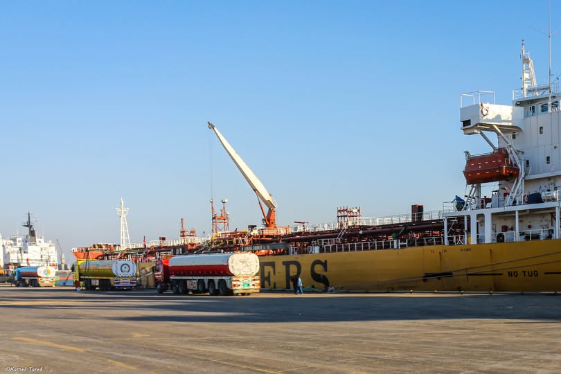 ميناء دمياط يستقبل 15563 طن ذرة و 3909 رأس ماشية