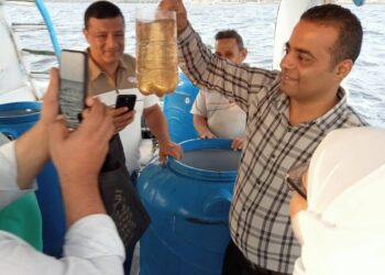 "تنمية البحيرات" يطلق الدفعة الثالثة من يرقات الجمبري في بحيرة قارون بالفيوم