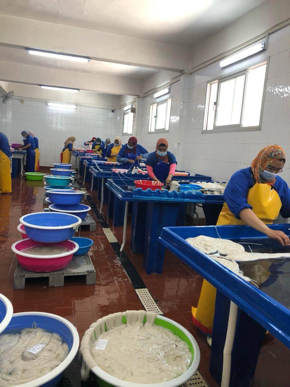 "الزراعة": إنتاج 2736 طنا من مساحيق المخلفات الحيوانية الناتجة عن الذبح خلال يوليو