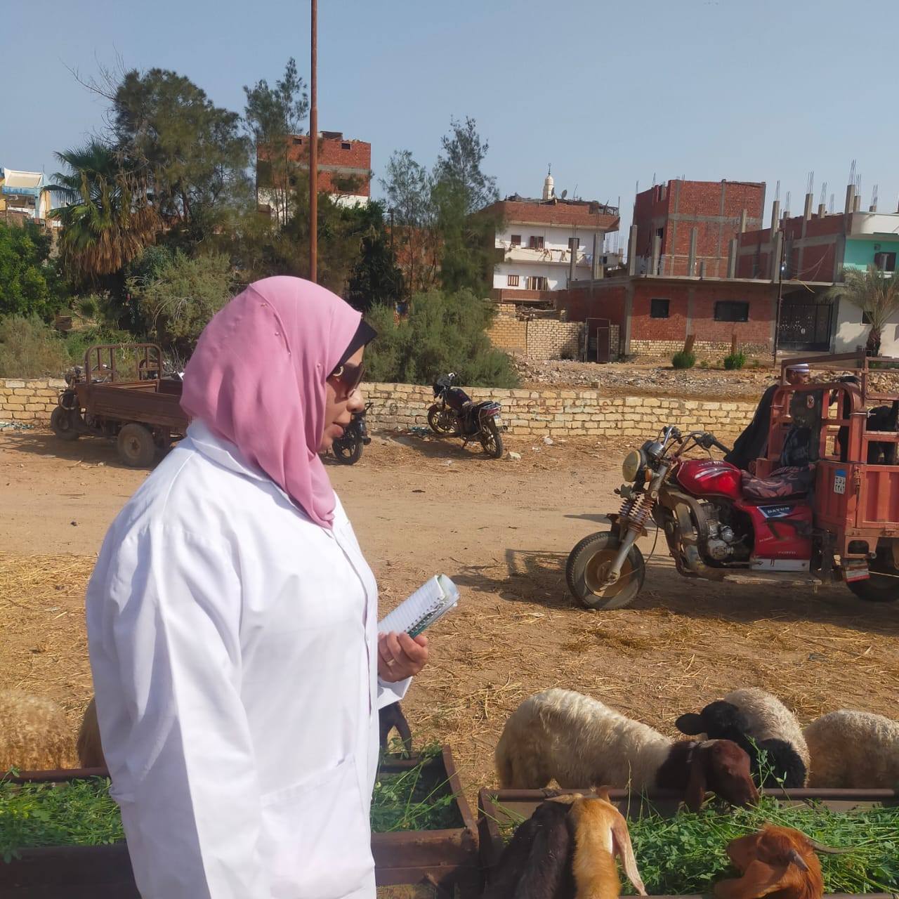 الخدمات البيطرية