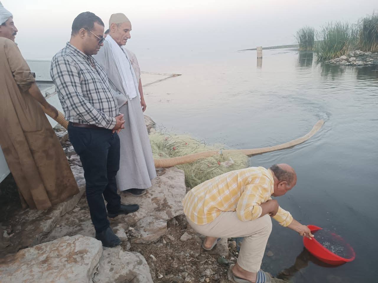 "تنمية البحيرات": إنزال أكثر من مليون زريعة أسماك المبروك في مفرخي بني سويف والمنيا