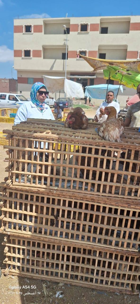 "الخدمات البيطرية" تنفذ أكثر من 9 آلاف زيارة للتقصي النشط ضمن أنشطة الترصد الوبائي للأمراض خلال يوليو الماضي