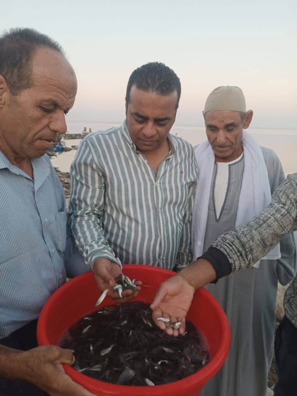 "تنمية البحيرات" يواصل خطة دعم بحيرة وادي الريان بزريعة مبروك حشائش