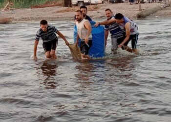 بحيرة قارون تواصل إستعادة عافيتها بإنزال الدفعة الخامسة من زريعة الجمبري