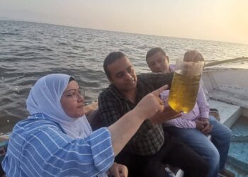 بحيرة قارون تواصل إستعادة عافيتها بإنزال الدفعة الخامسة من زريعة الجمبري