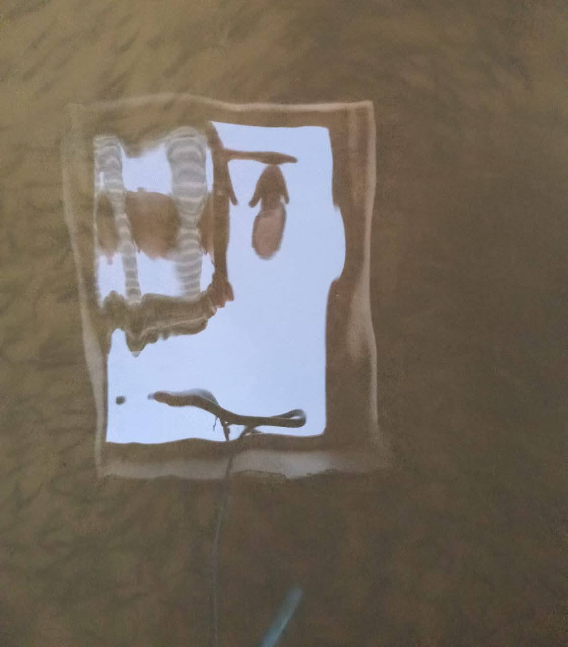 "تنمية البحيرات" يواصل خطة دعم بحيرة وادي الريان بزريعة مبروك حشائش