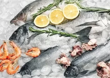 جودة فائقة وصحة مضمونة: التمليح بالتبريد السريع للأسماك