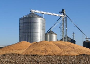 مخزونات الحبوب العالمية