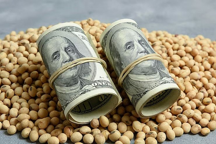 انخفاض العقود الآجلة لفول الصويا للمرة الأولى خلال 4 جلسات يوم الخميس