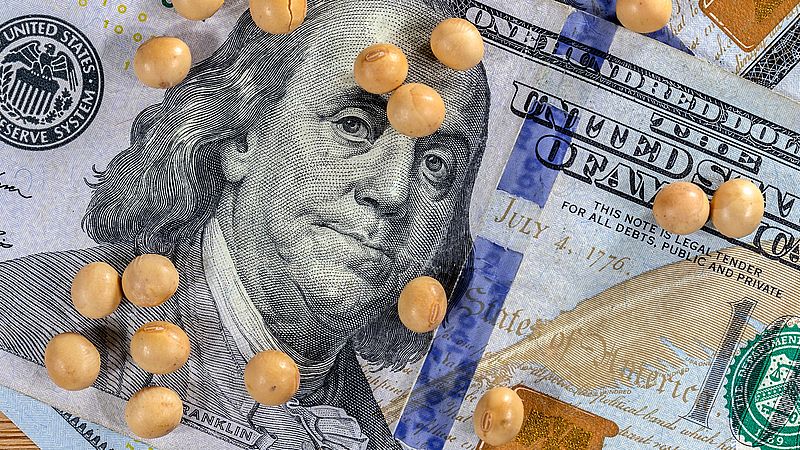 العقود الآجلة لفول الصويا