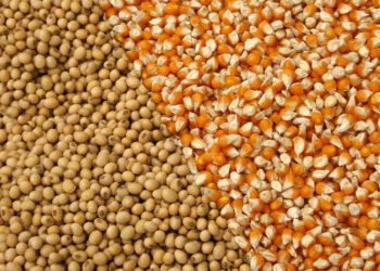 «السر في السحب».. مستوردي خامات يكشف الأسباب الرئيسية وراء تراجع الأسعار