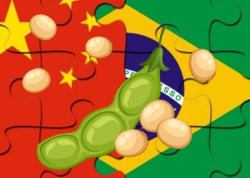 ارتفاع شحنات فول الصويا البرازيلية إلى الصين إلى 78%