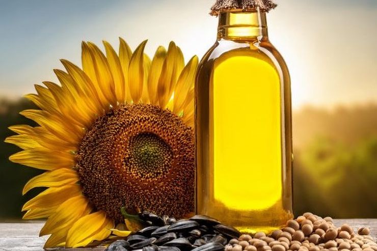 الاتحاد الأوروبي يخفض صادرات البذور الزيتية ومنتجاتها المصنعة منذ بداية الموسم