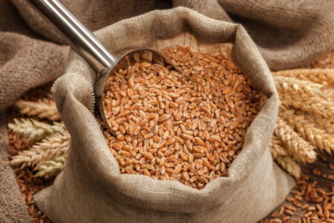 أسعار القمح الروسي آخذة في الانخفاض بمقدار 3 دولارات الأسبوع الماضي