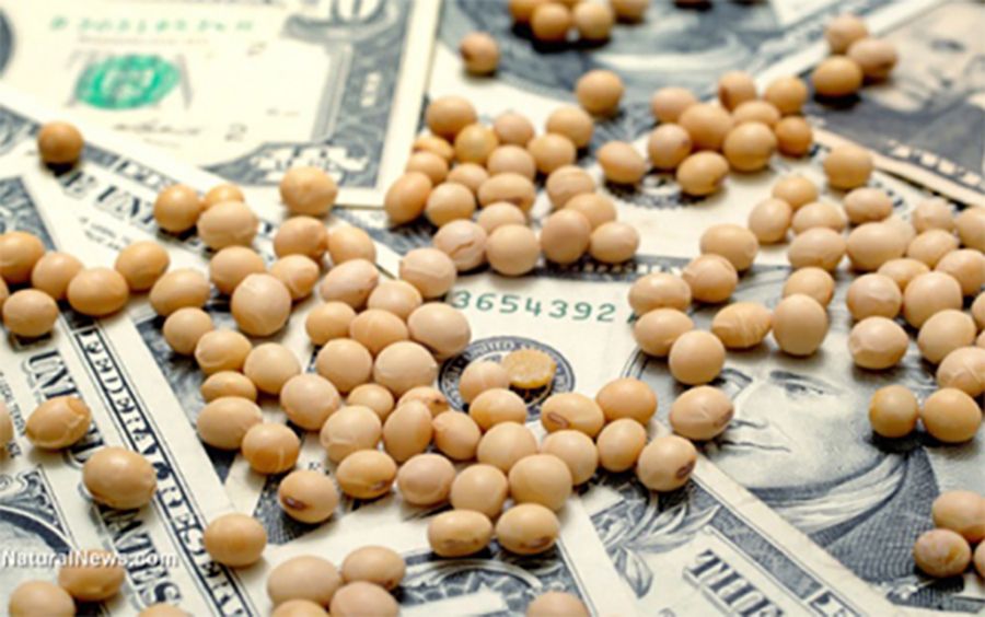 ارتفاع العقود الآجلة لفول الصويا يوم الأربعاء وسط مكاسب في العقود الآجلة لفول الصويا