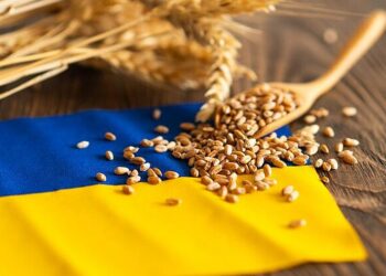 صادرات الحبوب الأوكرانية تبلغ قرابة 3 ملايين طن منذ بداية الموسم