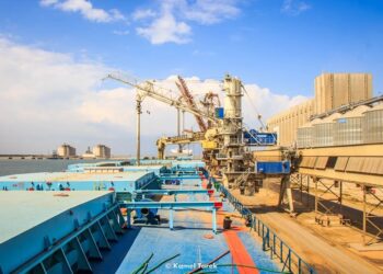 ميناء دمياط يستقبل 20687 طن ذرة و 2808 طن كسب عباد و 37 طن قمح