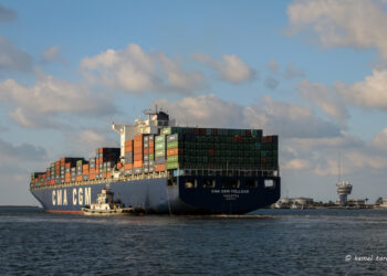 ميناء دمياط يستقبل 33500 طن ذرة و 2804 طن كسب عباد