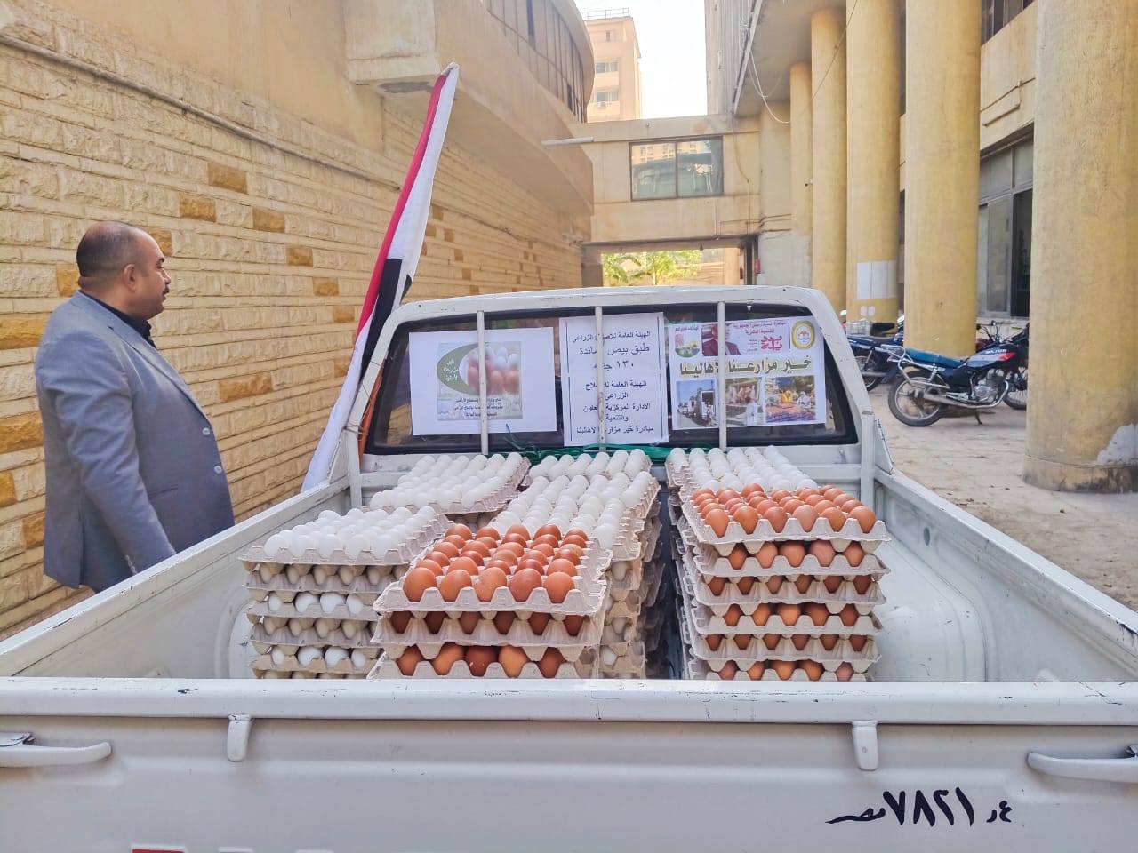 "الزراعة" تطلق 6 منافذ متنقلة لبيع بيض المائدة بأسعار مخفضة في محافظتي القاهرة والجيزة
