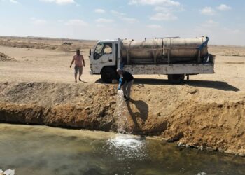 "تنمية البحيرات" يدعم واحة سيوة بمليون زريعة سمكية من أسماك البلطي النيلي