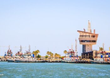 ميناء دمياط يستقبل 13877 طن ذرة وُيصدر 8750 طن كسب صويا