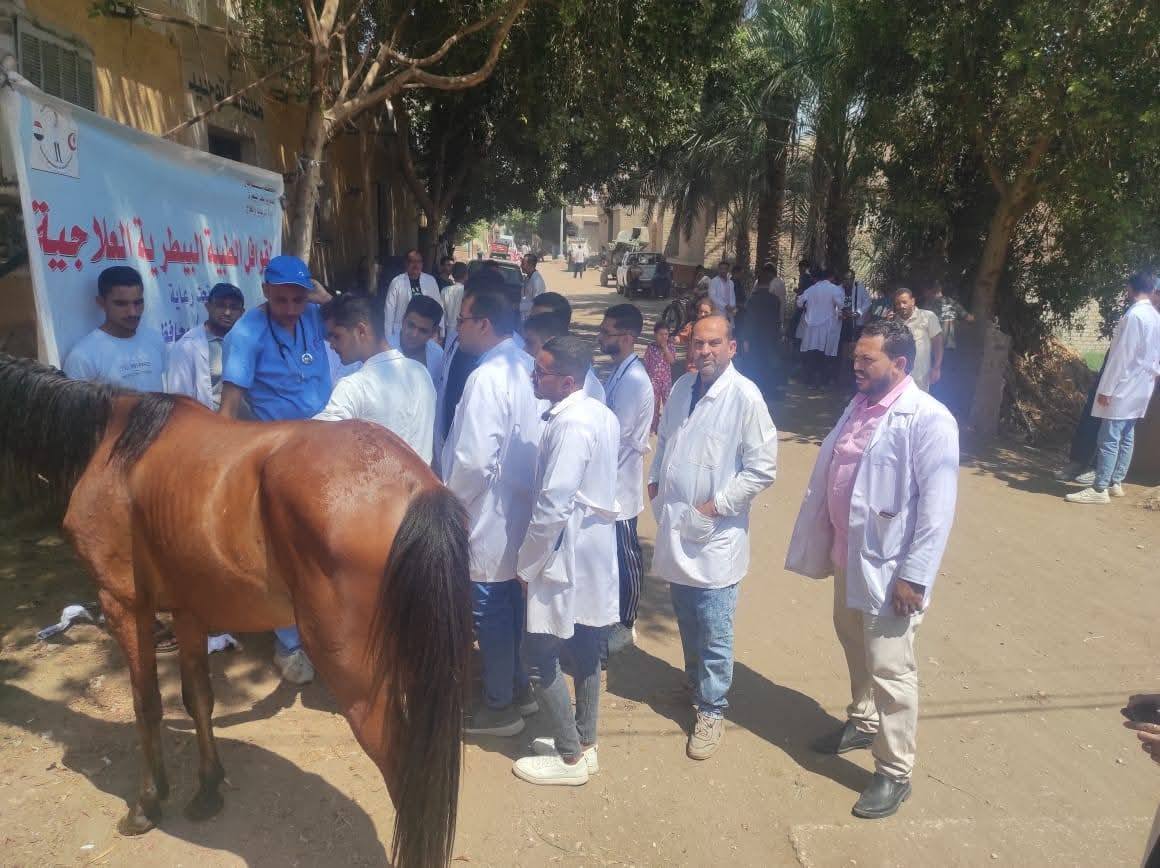 القوافل البيطرية