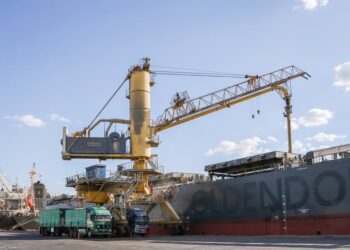 ميناء دمياط يستقبل 7816 طن ذرة و 11310 طن كسب فول صويا