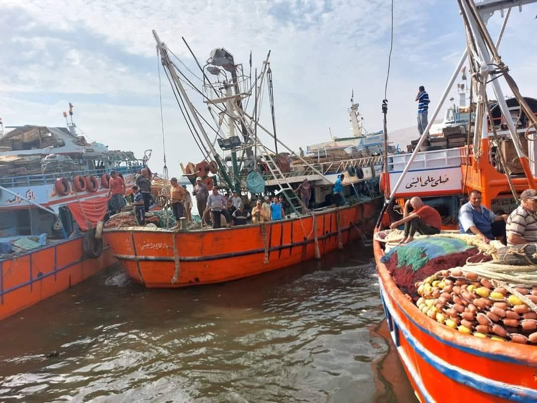 بعد توقف ٤ أشهر... انطلاق موسم صيد أسماك الباغة والسردين ٢٠٢٥ في خليج السويس