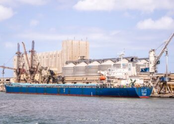 ميناء دمياط يستقبل 2500 طن ذرة و 8001 طن كسب الصويا ويُصدر 86 طن صويا