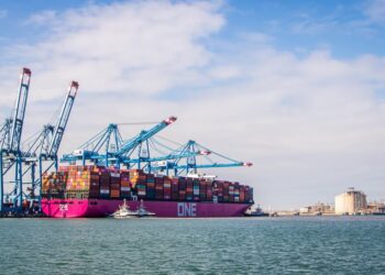 ميناء دمياط يستقبل 3000 طن ذرة و 9345 طن كسب صويا