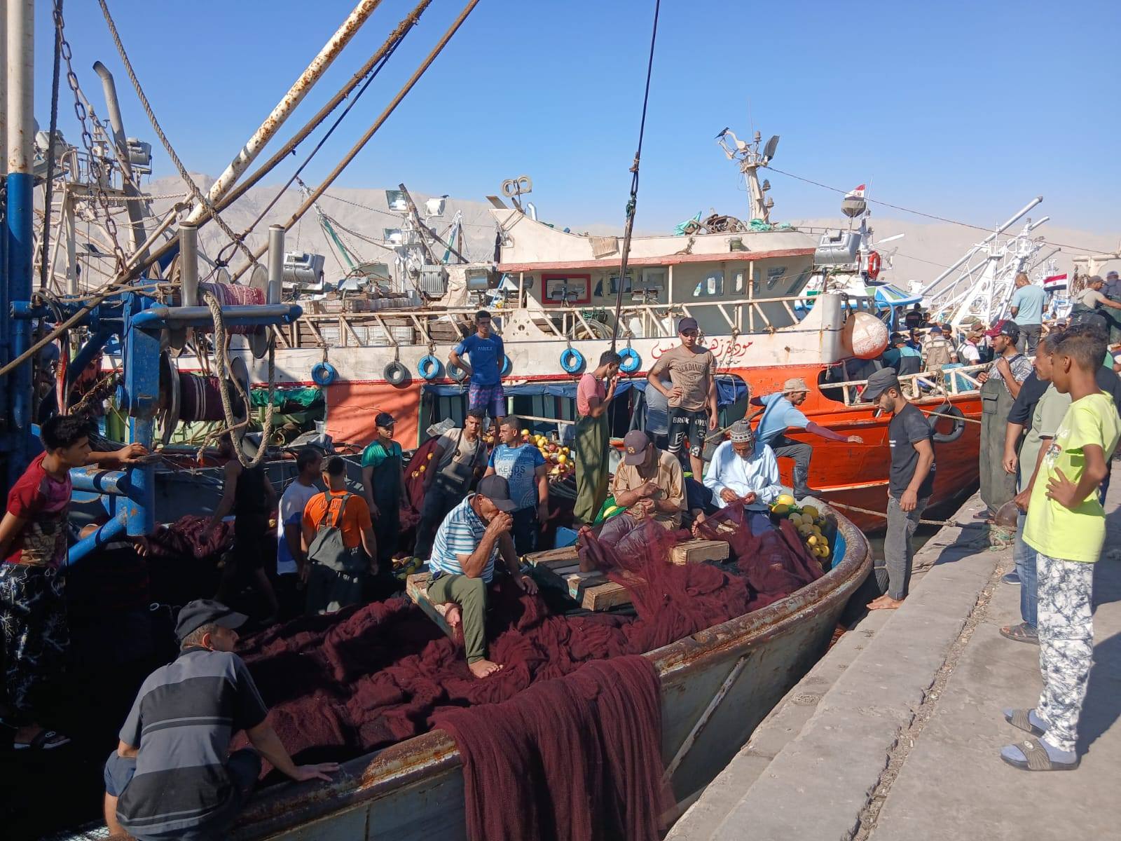 بعد توقف ٤ أشهر... انطلاق موسم صيد أسماك الباغة والسردين ٢٠٢٥ في خليج السويس