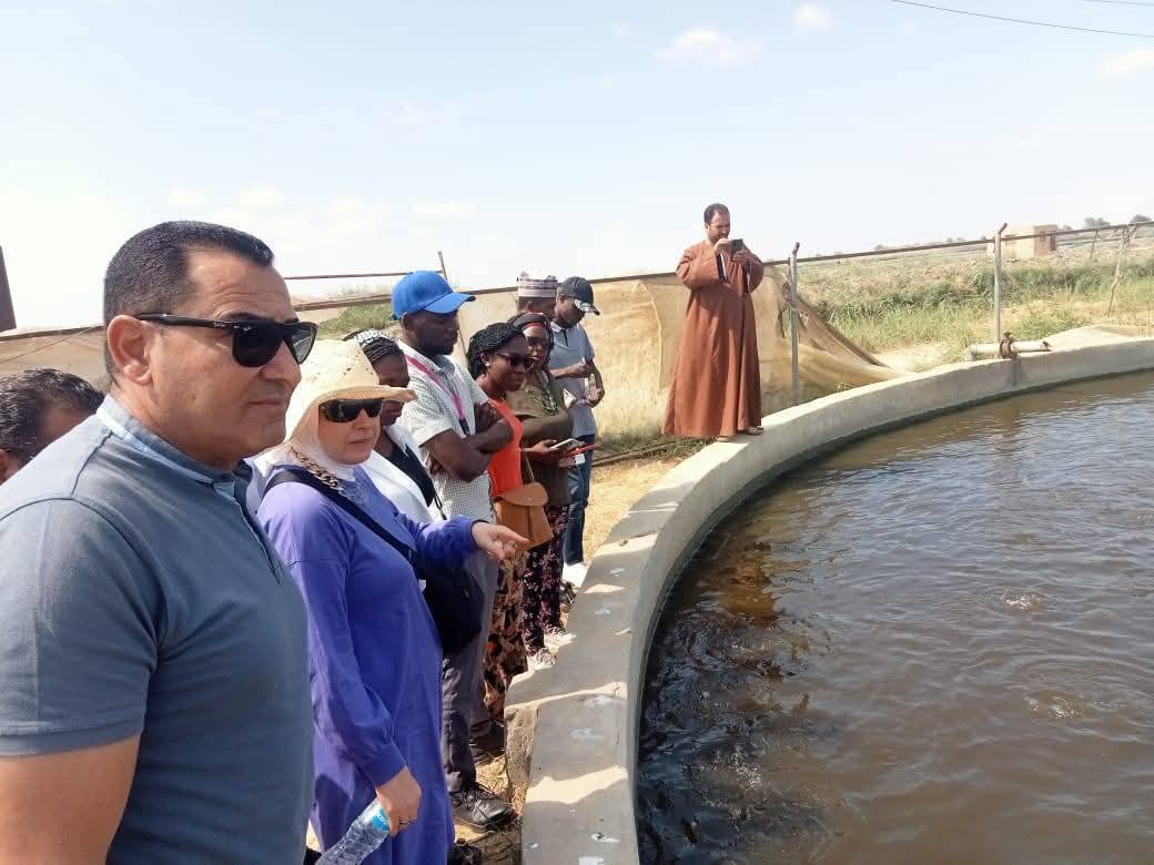 وفد إفريقي يزور بحيرة قارون للتدريب على مشروعات الاستزراع السمكي لمدة 3 أيام