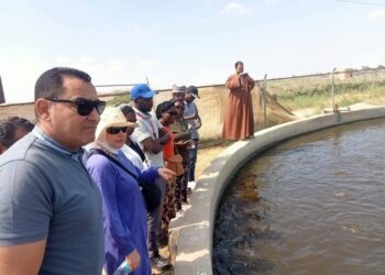 وفد إفريقي يزور بحيرة قارون للتدريب على مشروعات الاستزراع السمكي لمدة 3 أيام