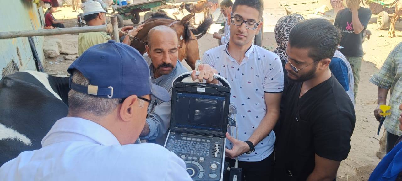 "الزراعة": إجراء التلقيح الاصطناعي لأكثر من 42 ألف رأس ماشية خلال أغسطس