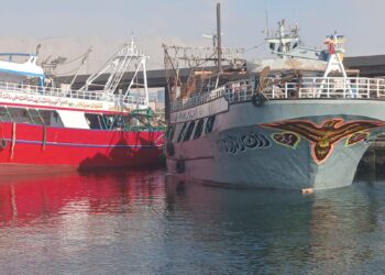 بعد توقف ٤ أشهر... انطلاق موسم صيد أسماك الباغة والسردين ٢٠٢٥ في خليج السويس