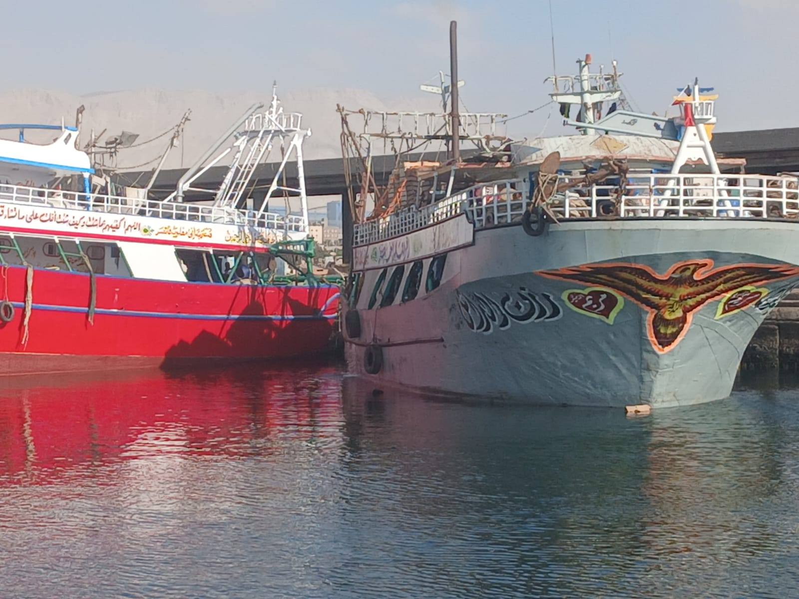 بعد توقف ٤ أشهر... انطلاق موسم صيد أسماك الباغة والسردين ٢٠٢٥ في خليج السويس