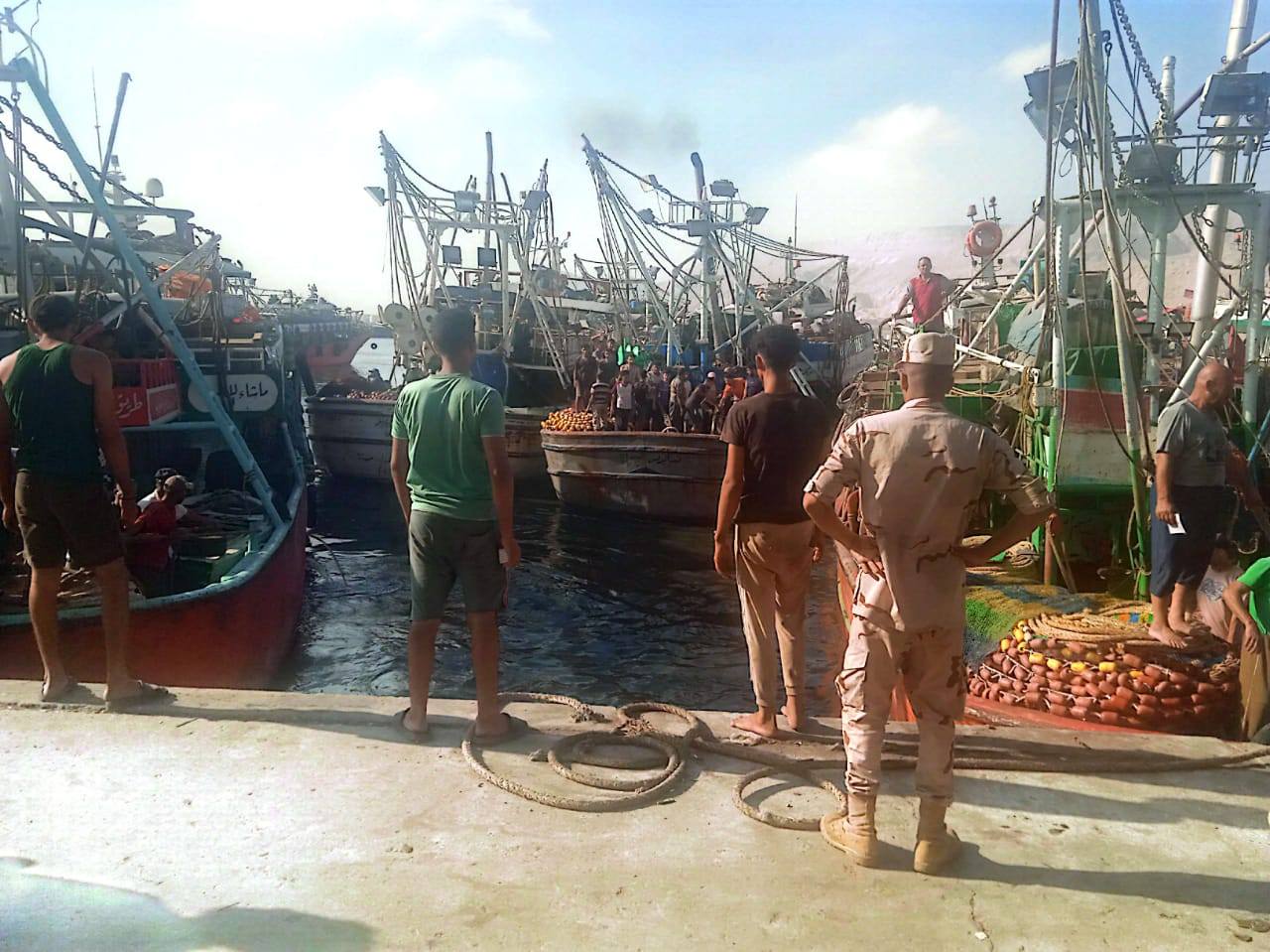 بعد توقف ٤ أشهر... انطلاق موسم صيد أسماك الباغة والسردين ٢٠٢٥ في خليج السويس