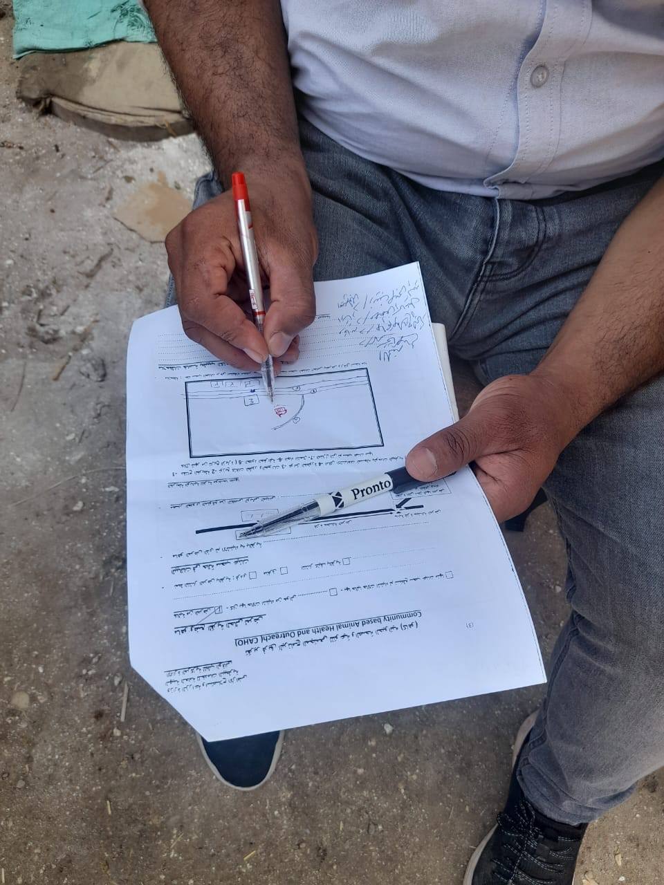 "الزراعة" تستقبل 748 بلاغًا عبر الخط الساخن للخدمات البيطرية خلال أغسطس